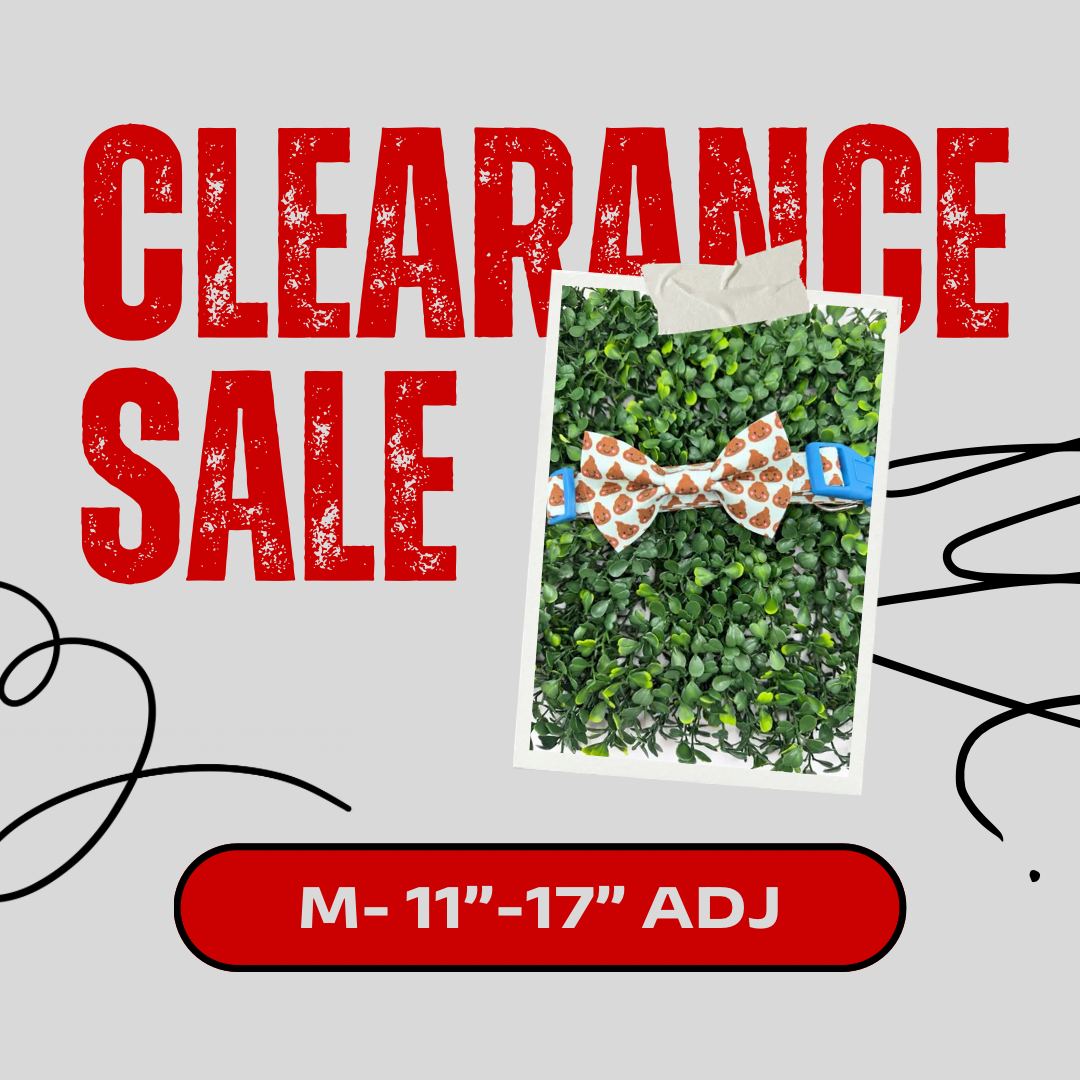 Clearance Dog Collar- Medium