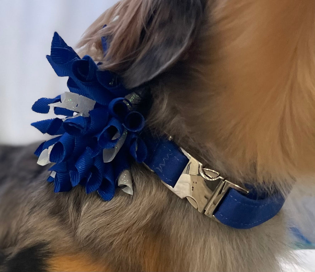 Custom Wedding Dog Collar