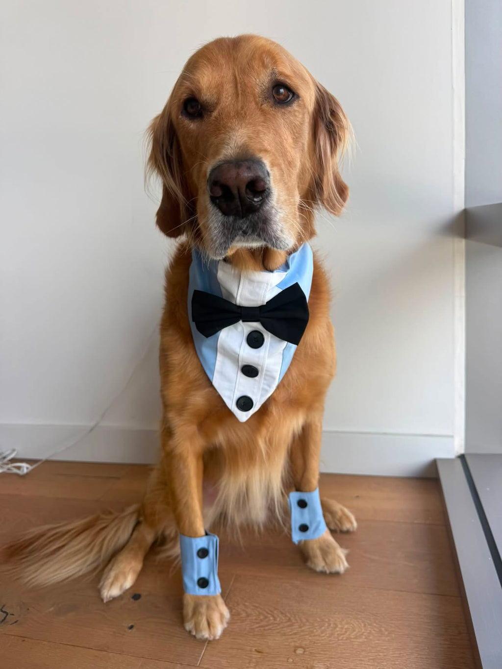 Classic Wedding Dog Cuffs
