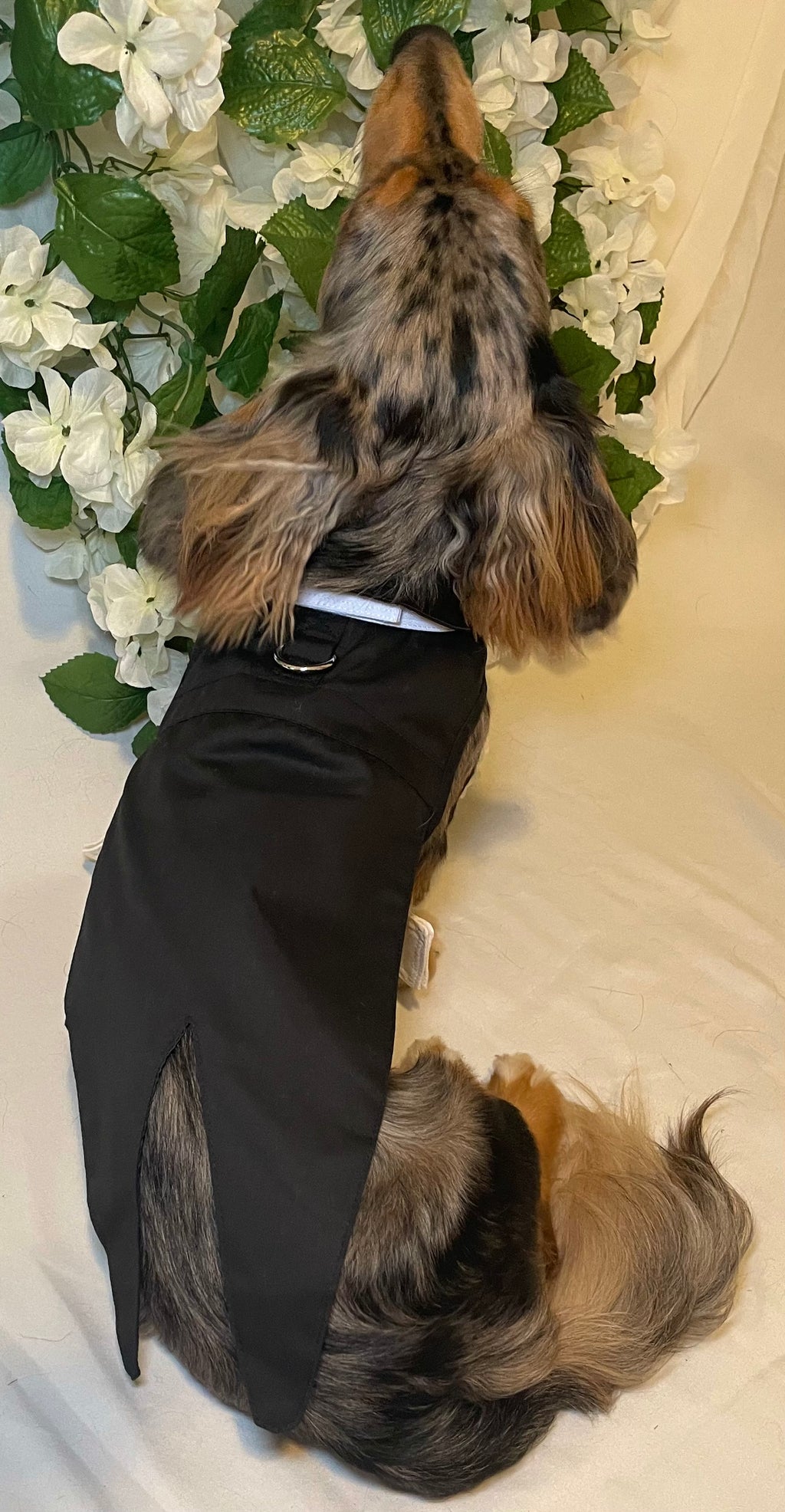 Classic Tuxedo Wedding Dog Outfit