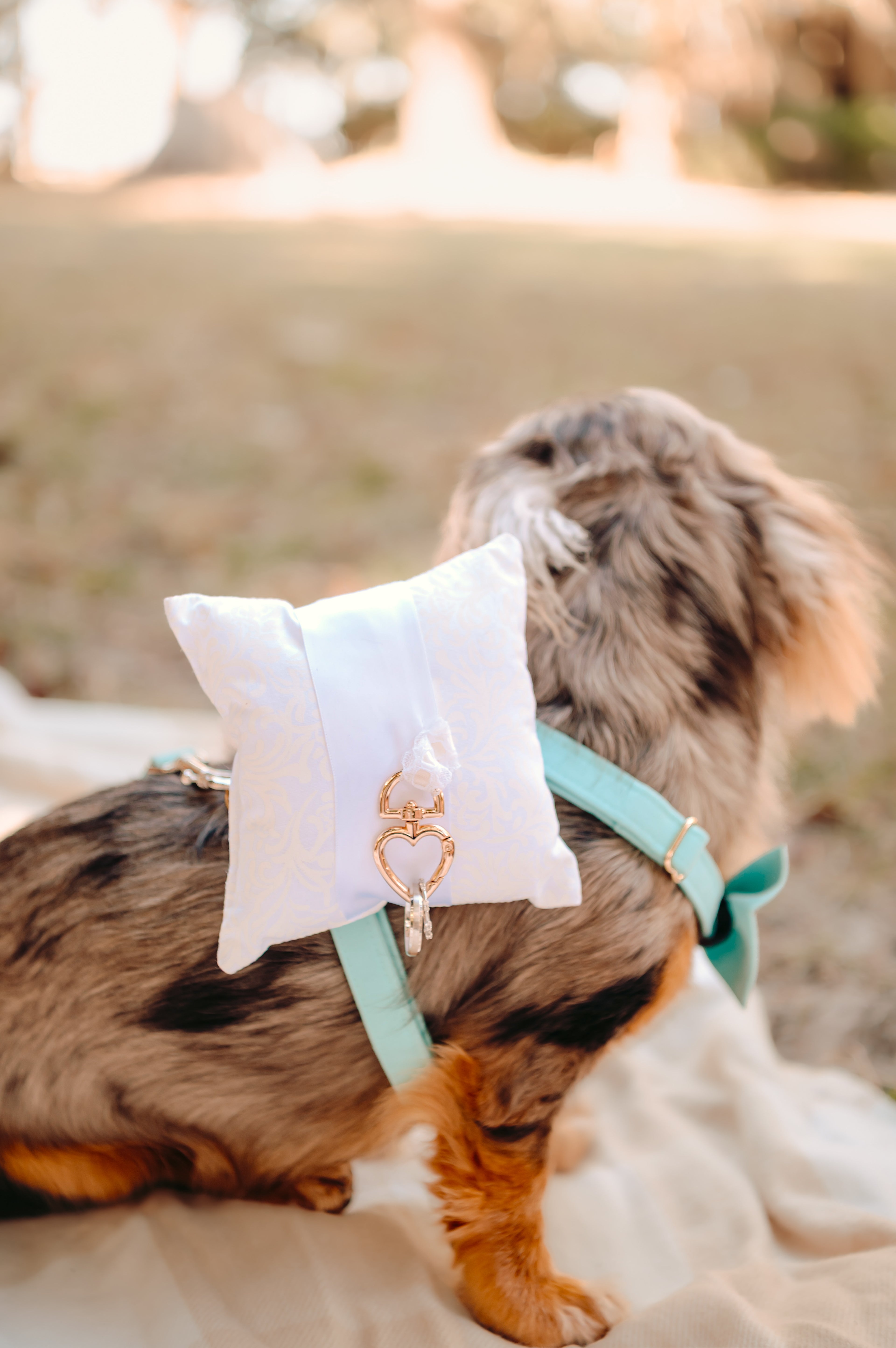 Here Comes the Rings Wedding Dog Ring Pillow