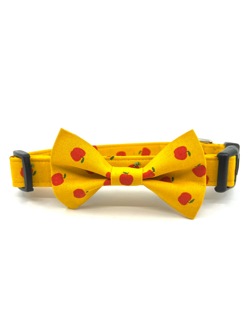 Apple Picking Pup Dog or Cat Collar