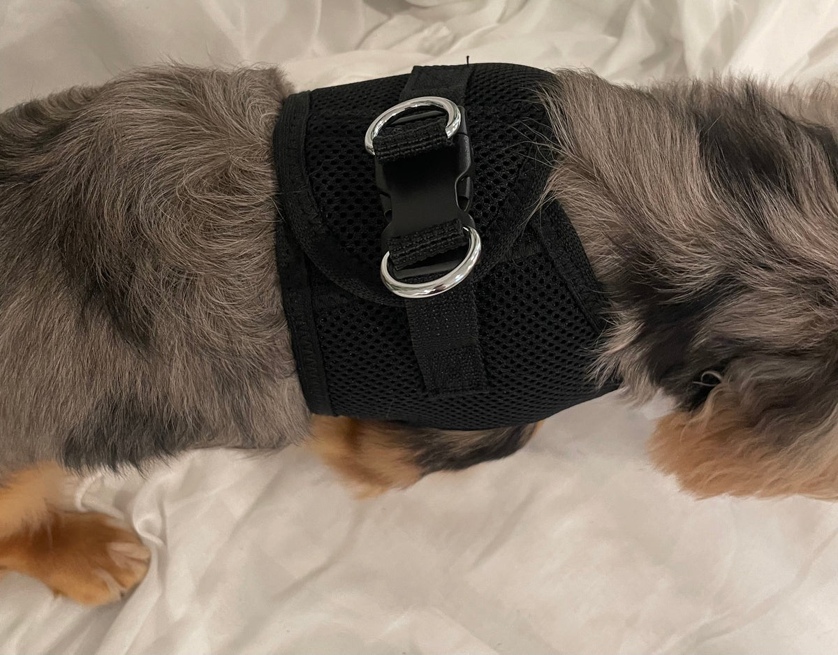 Dapper Gentleman Custom Formal Dog Harness