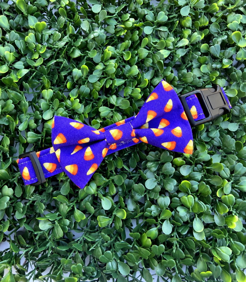 Candy Corn Cutie Dog or Cat Collar