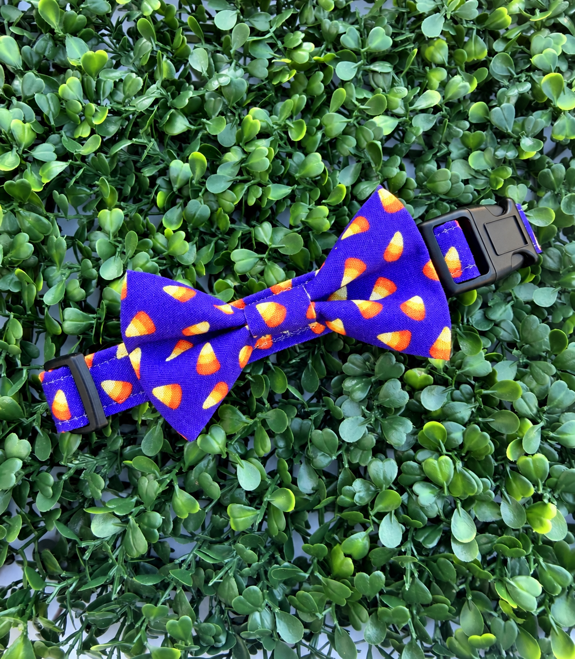 Candy Corn Cutie Dog or Cat Collar