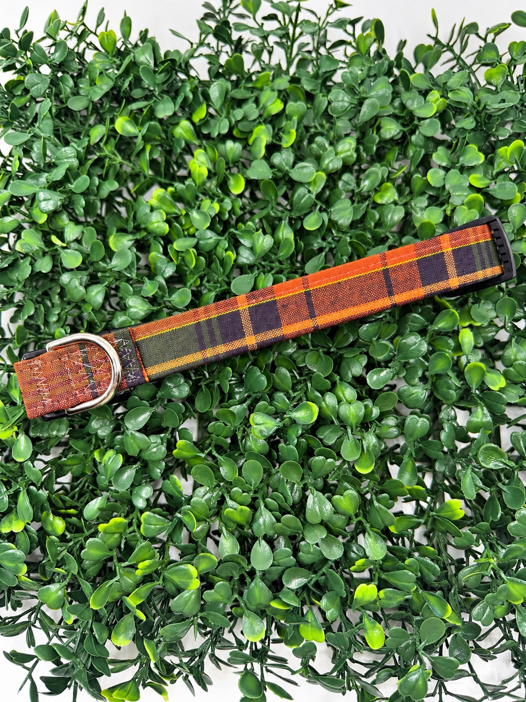 Thanksgiving Plaid Dog or Cat Collar