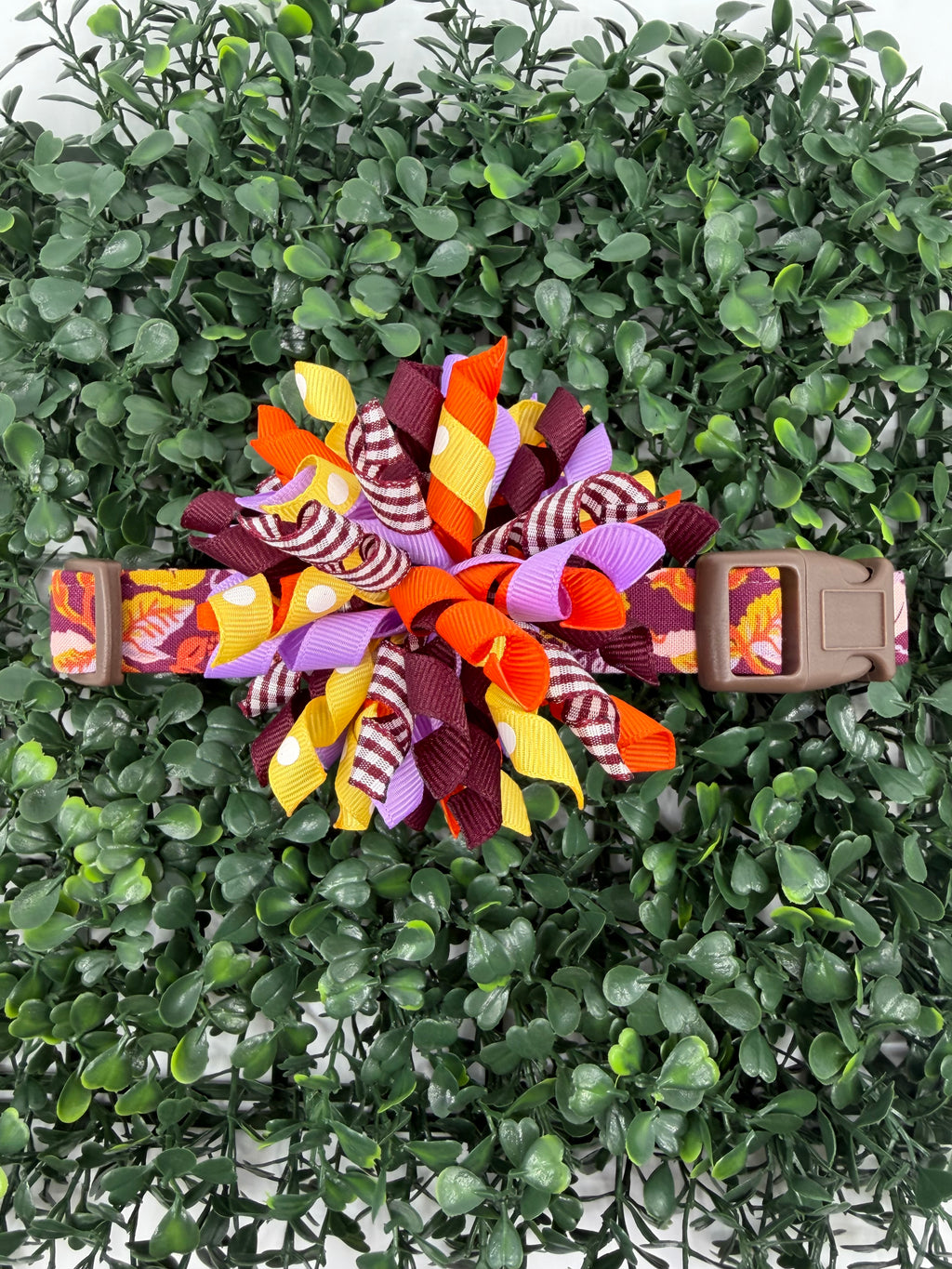 Autumn Harvest Floral Dog or Cat Collar