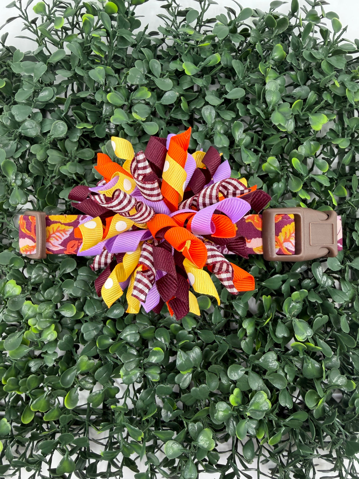 Autumn Harvest Floral Dog or Cat Collar