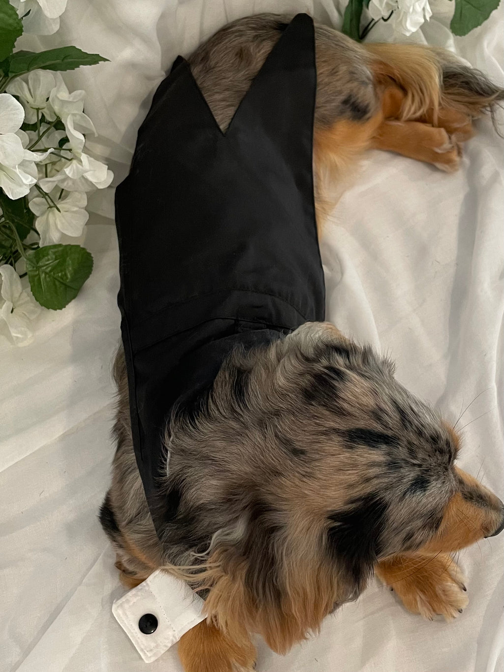 Classic Tuxedo Wedding Dog Outfit
