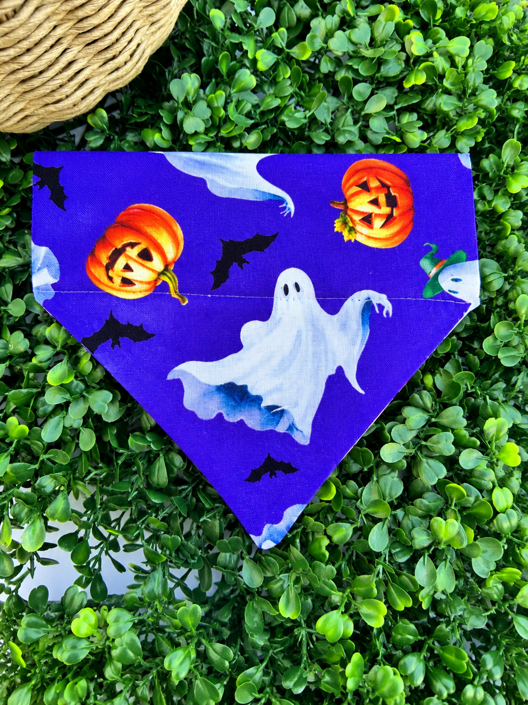 Candy Corn Cutie Dog or Cat Collar