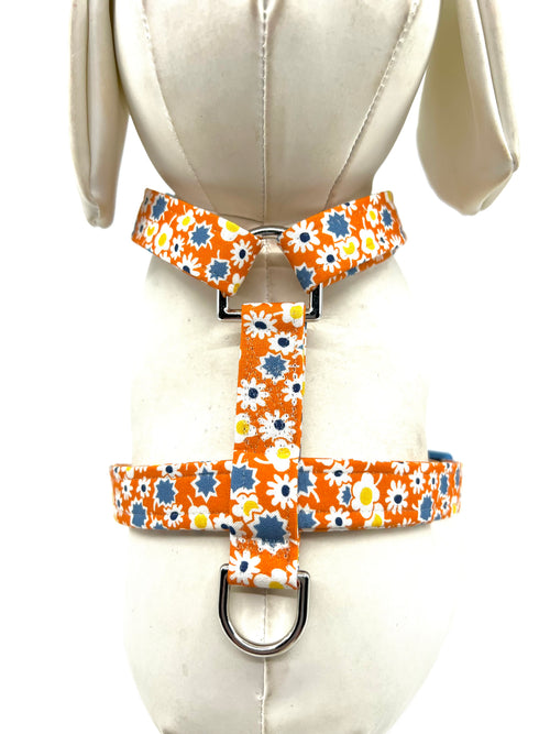 Autumn Daisy Adjustable Dog Harness