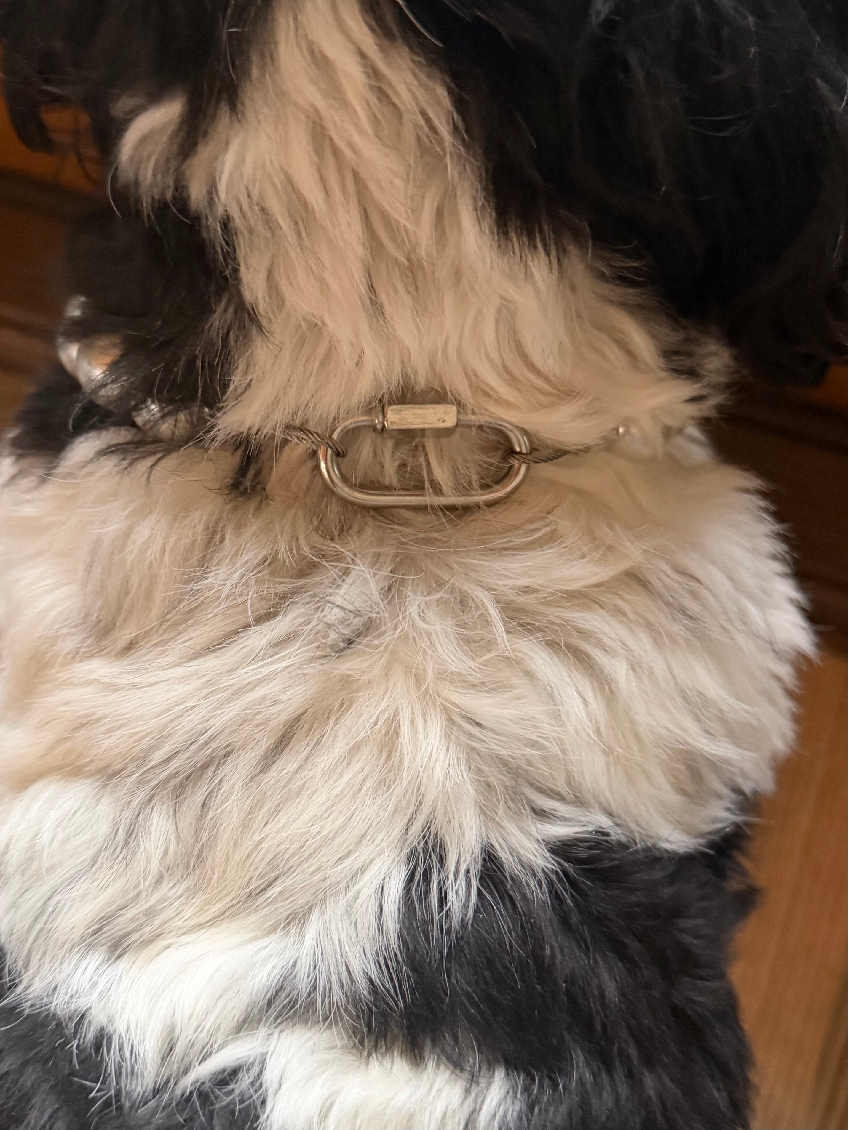 Pearls & Bows Wedding Beaded Pet Collar