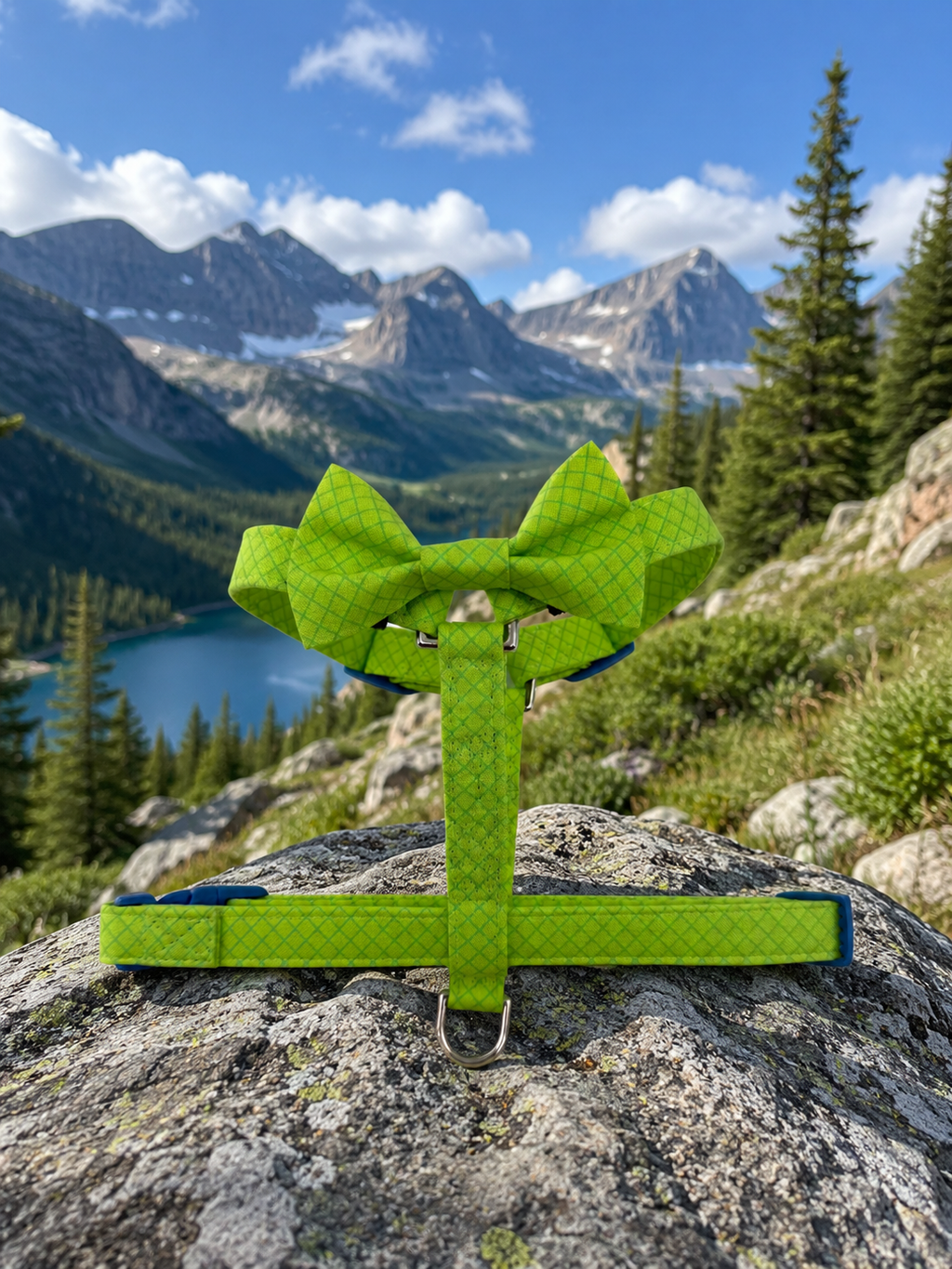 Lime Pop Adjustable Dog Harness