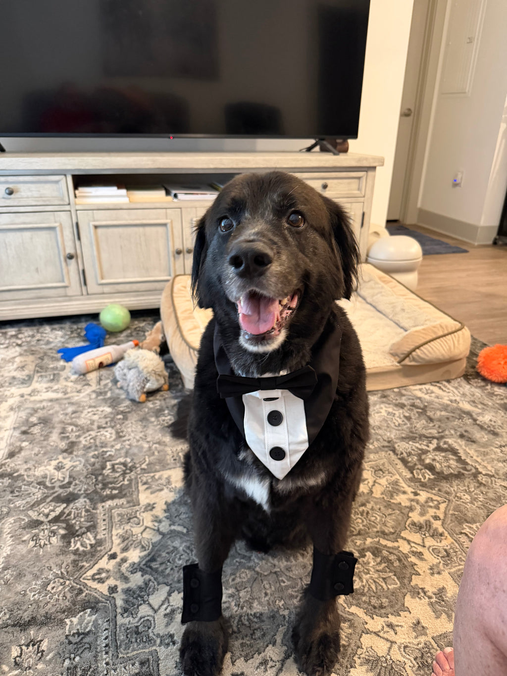 Classic Wedding Dog Cuffs