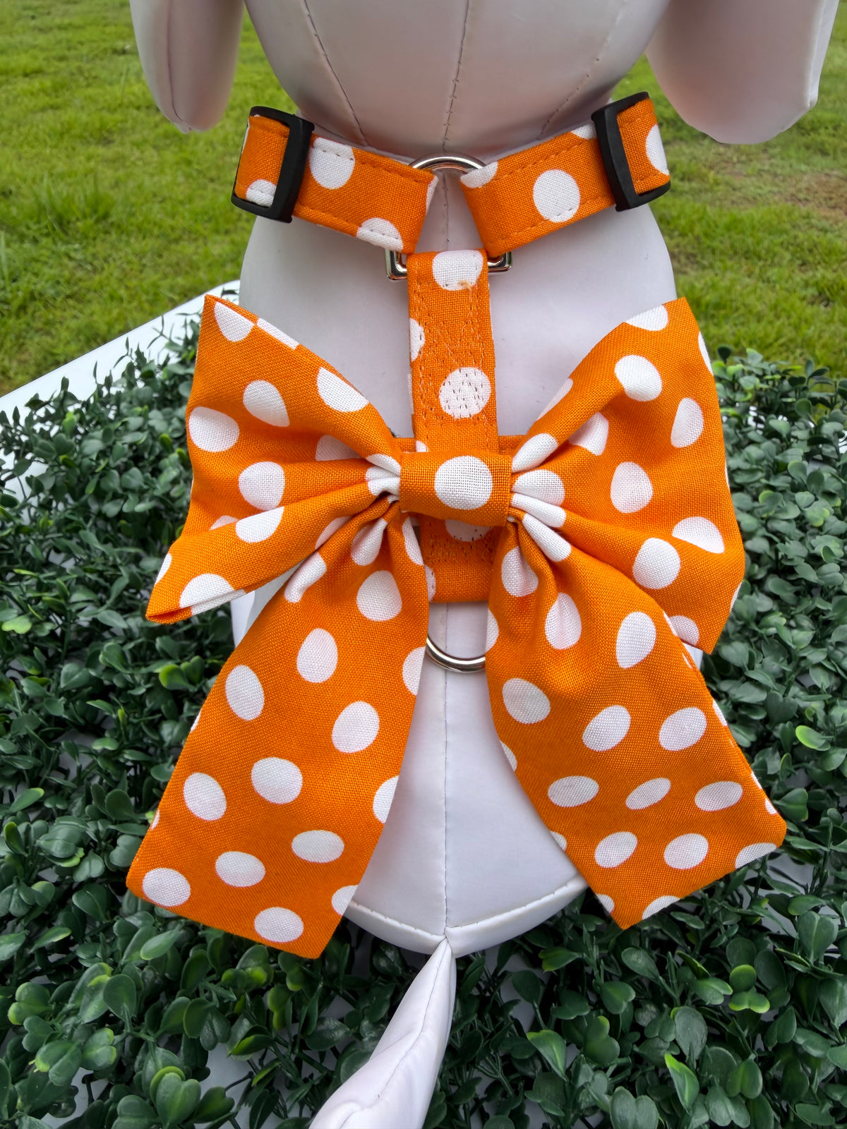 Pumpkin Spice Polka Dot Dog Harness 🎃🐾