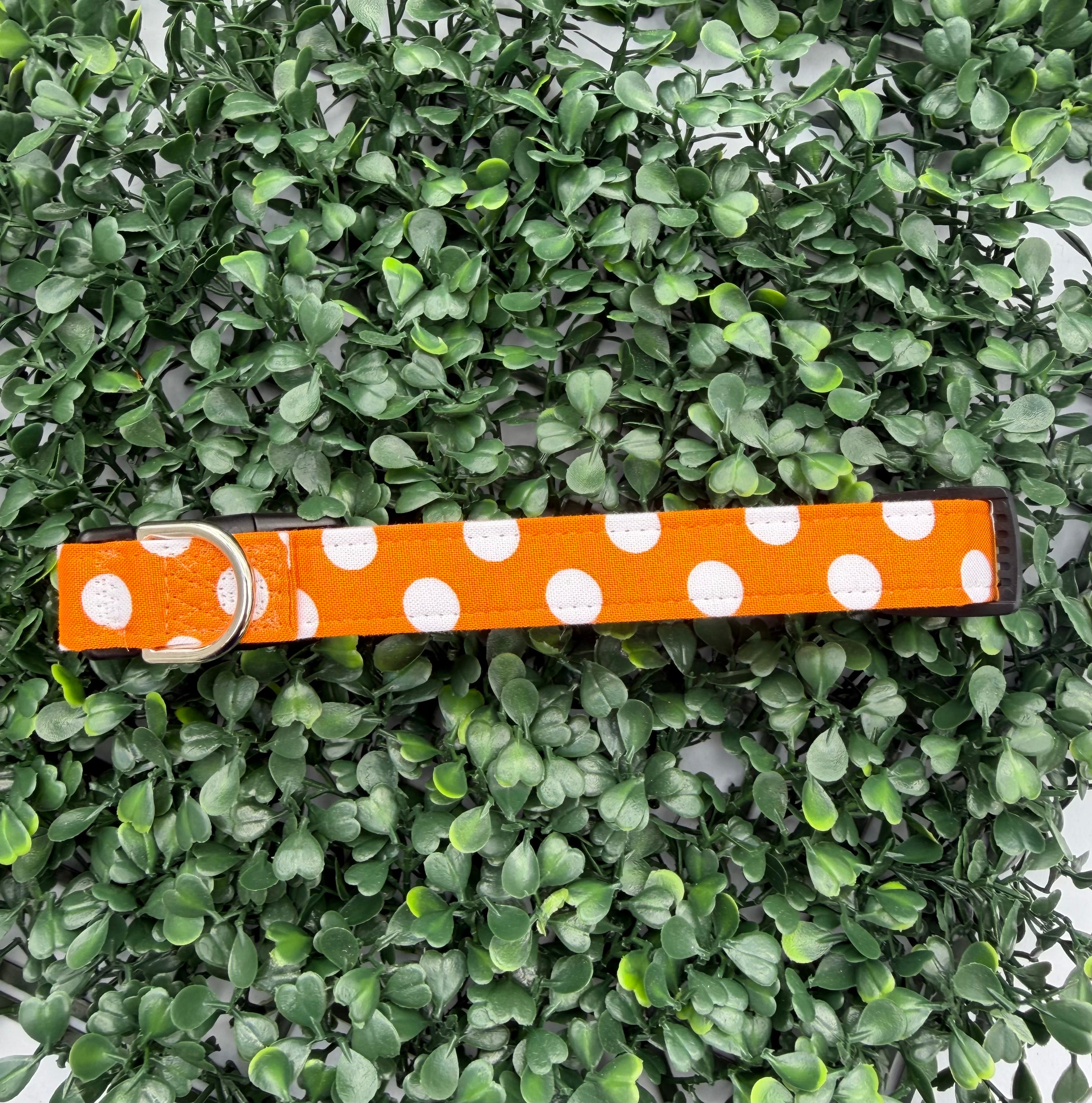 Pumpkin Spice Polka Dot Dog Collar