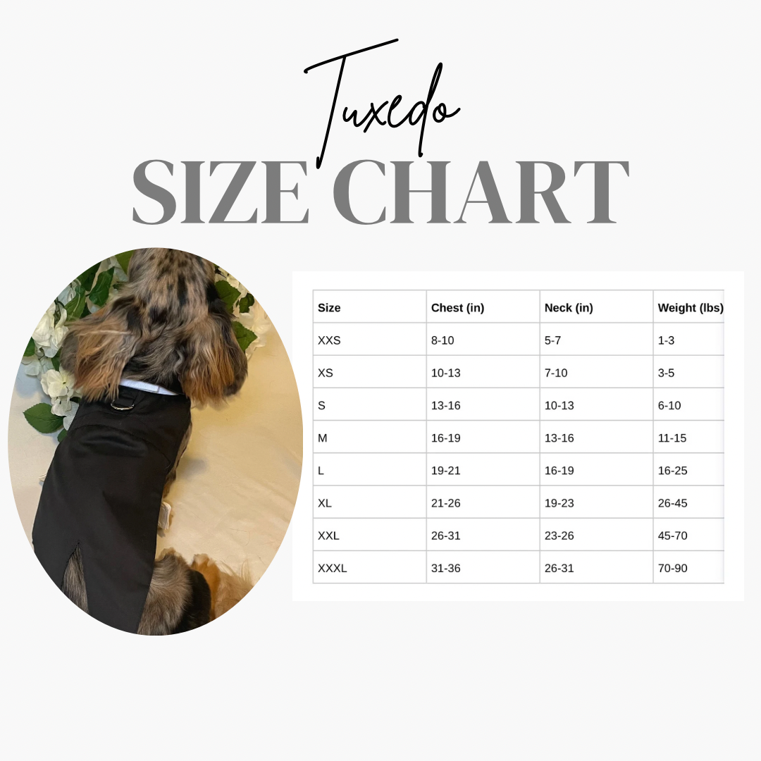 Classic Tuxedo Wedding Dog Outfit