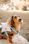 Here Comes the Rings Wedding Dog Ring Pillow