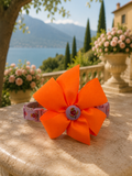 Tropical Pop Dog Collar