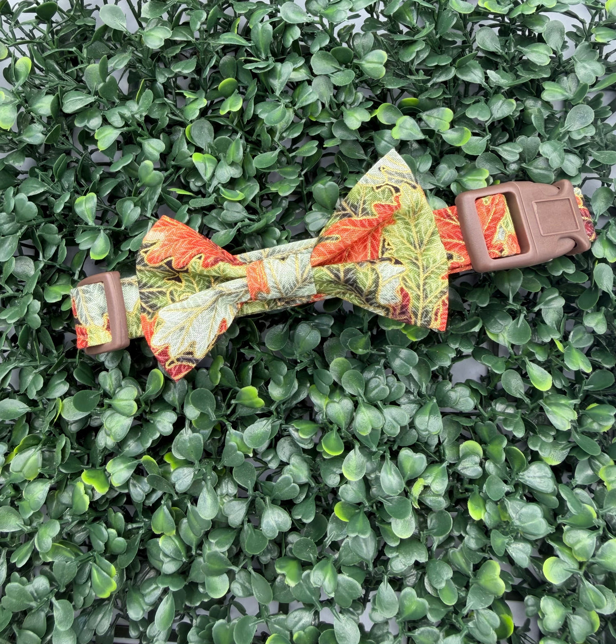Falling Leaves Dog Collar