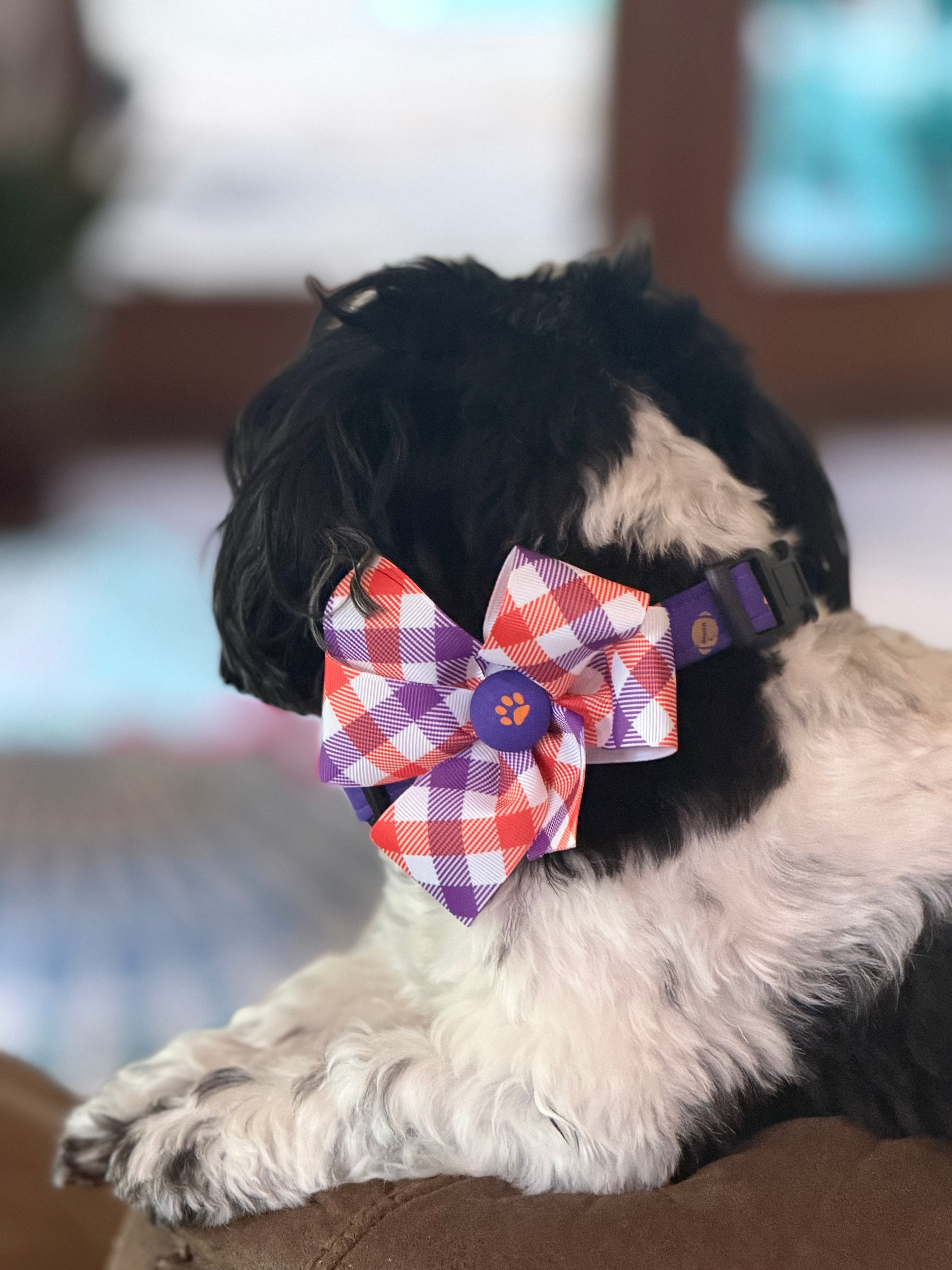 Game Day Football Pet Bows – Custom Team Colors