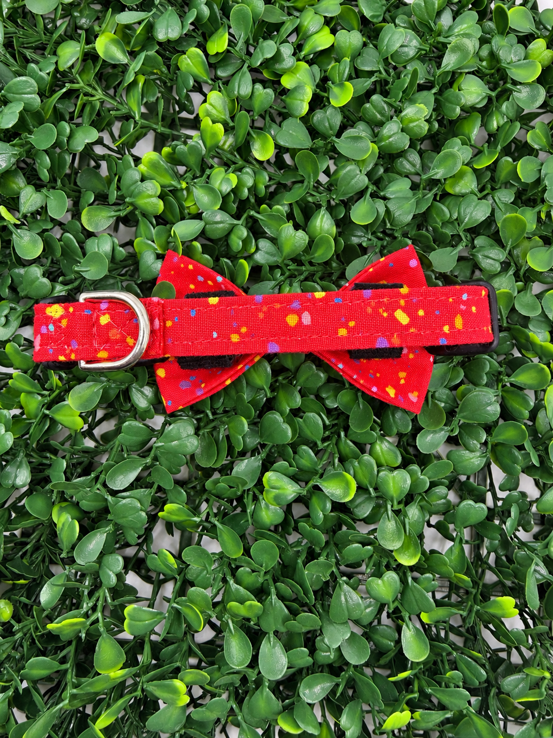 Clearance Dog Collar- XSmall