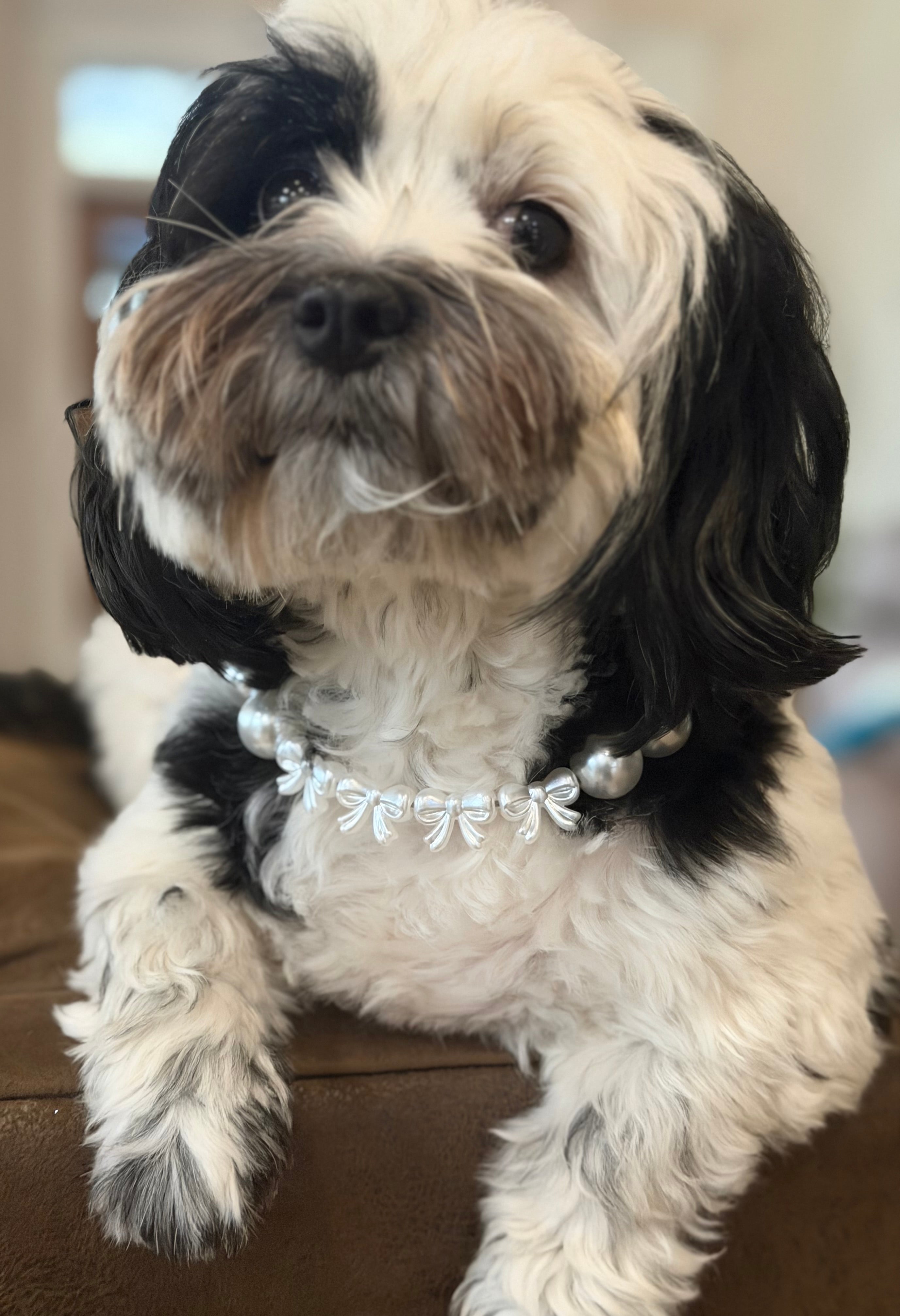 Pearls & Bows Wedding Beaded Pet Collar