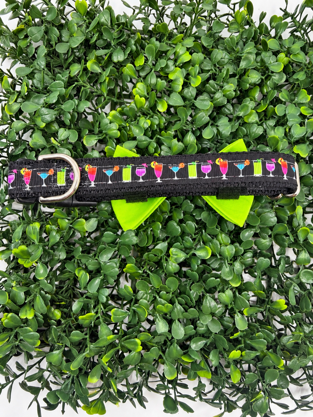 Clearance Dog Collar- Medium