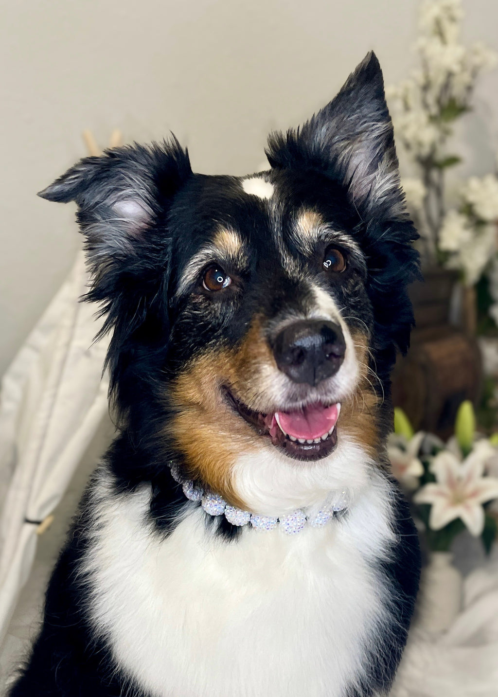 Wedding Sparkle Acrylic Beaded Pet Collar