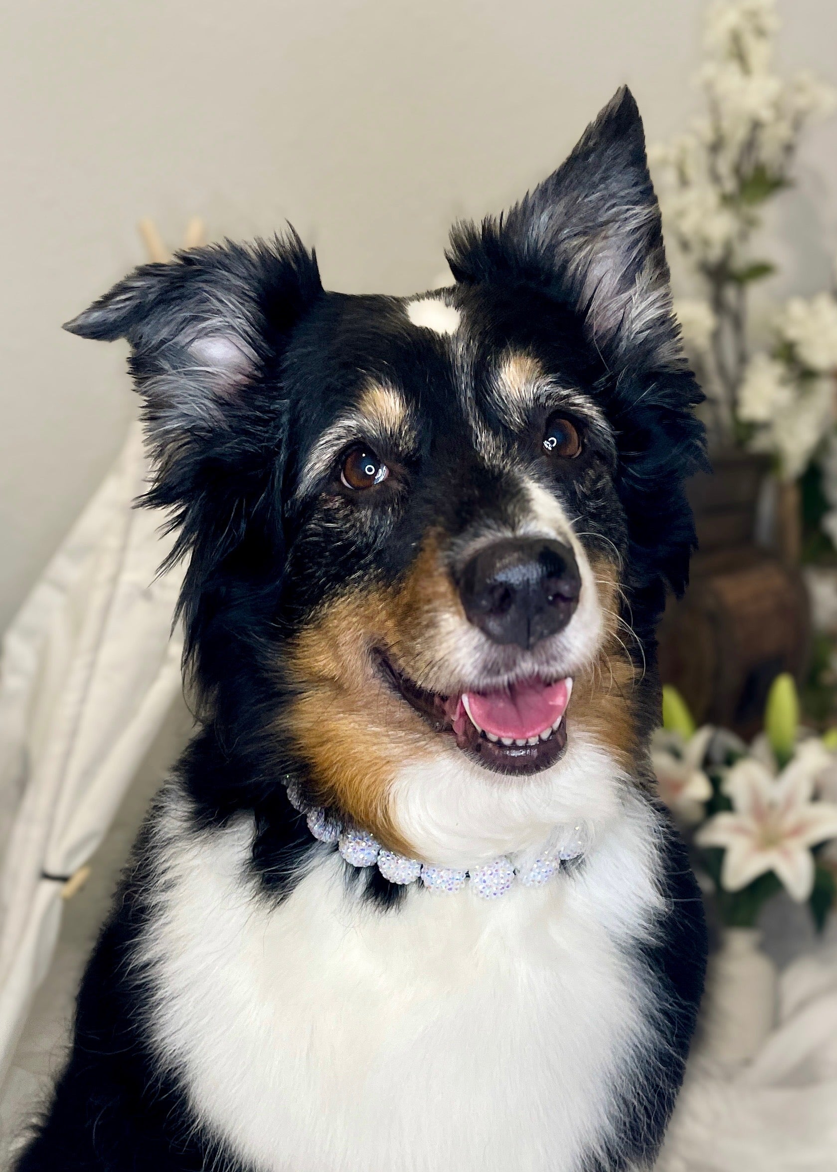 Wedding Sparkle Acrylic Beaded Pet Collar