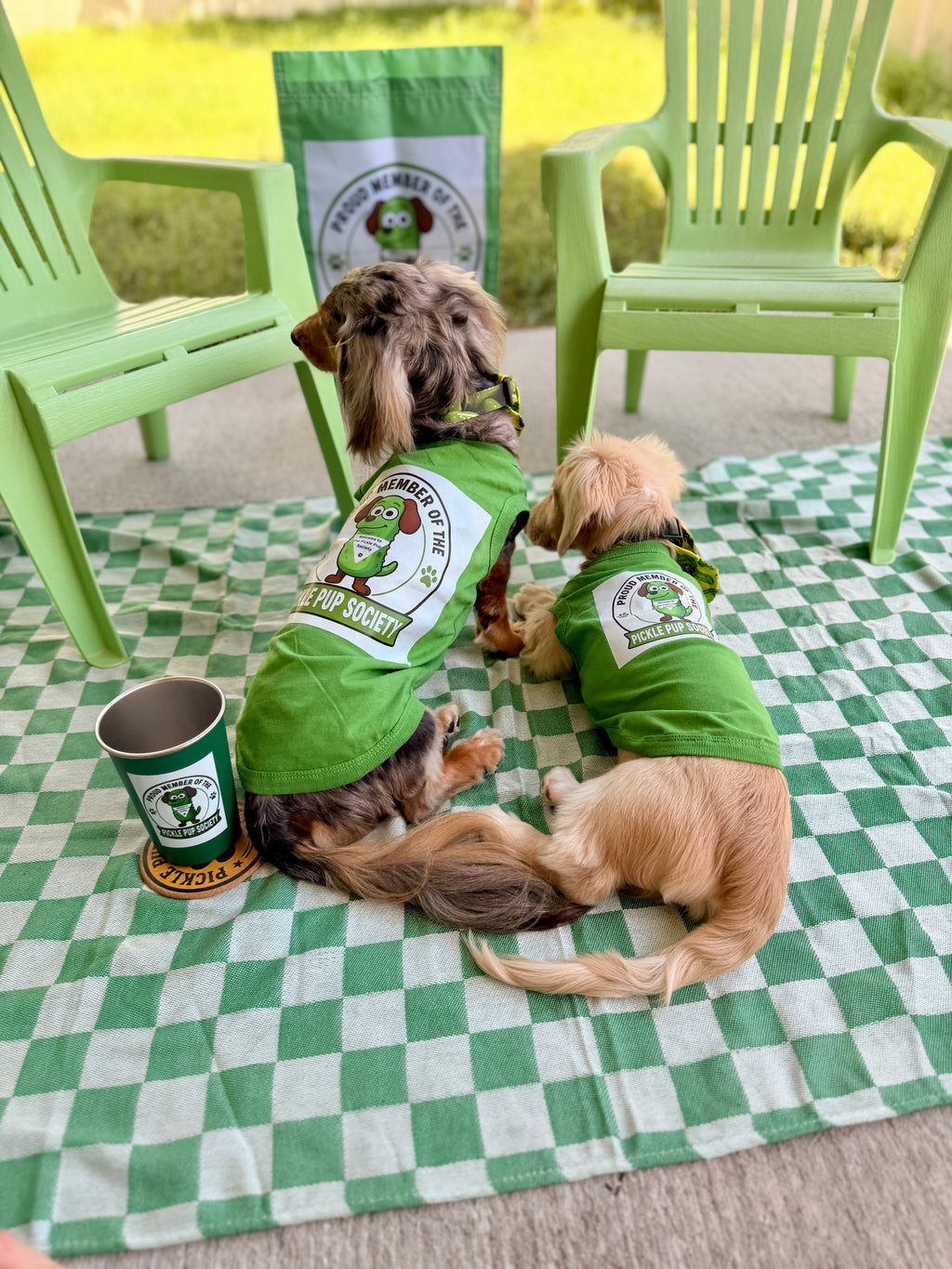 Pickle Pup Society Coasters