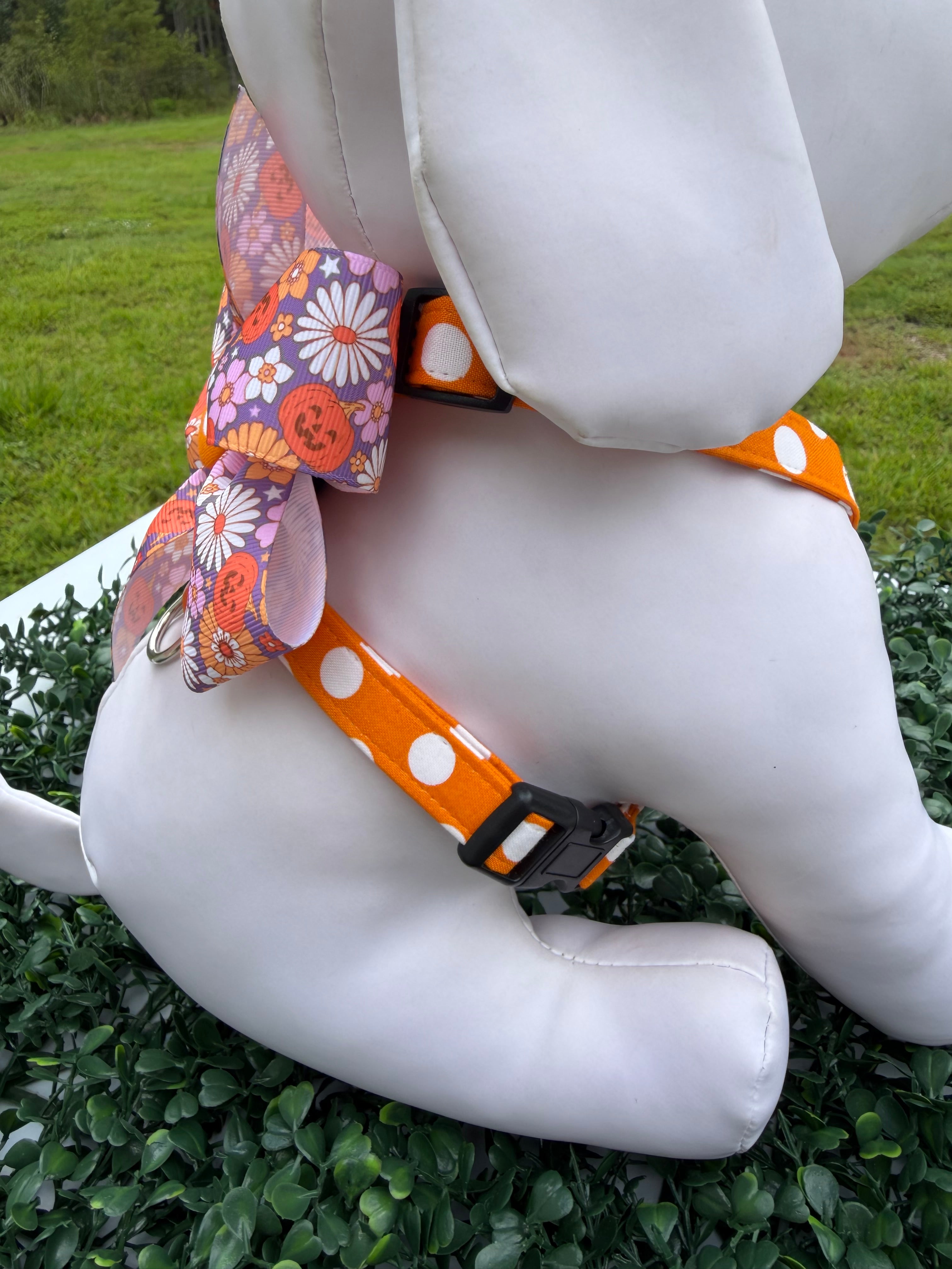 Pumpkin Spice Polka Dot Dog Harness 🎃🐾