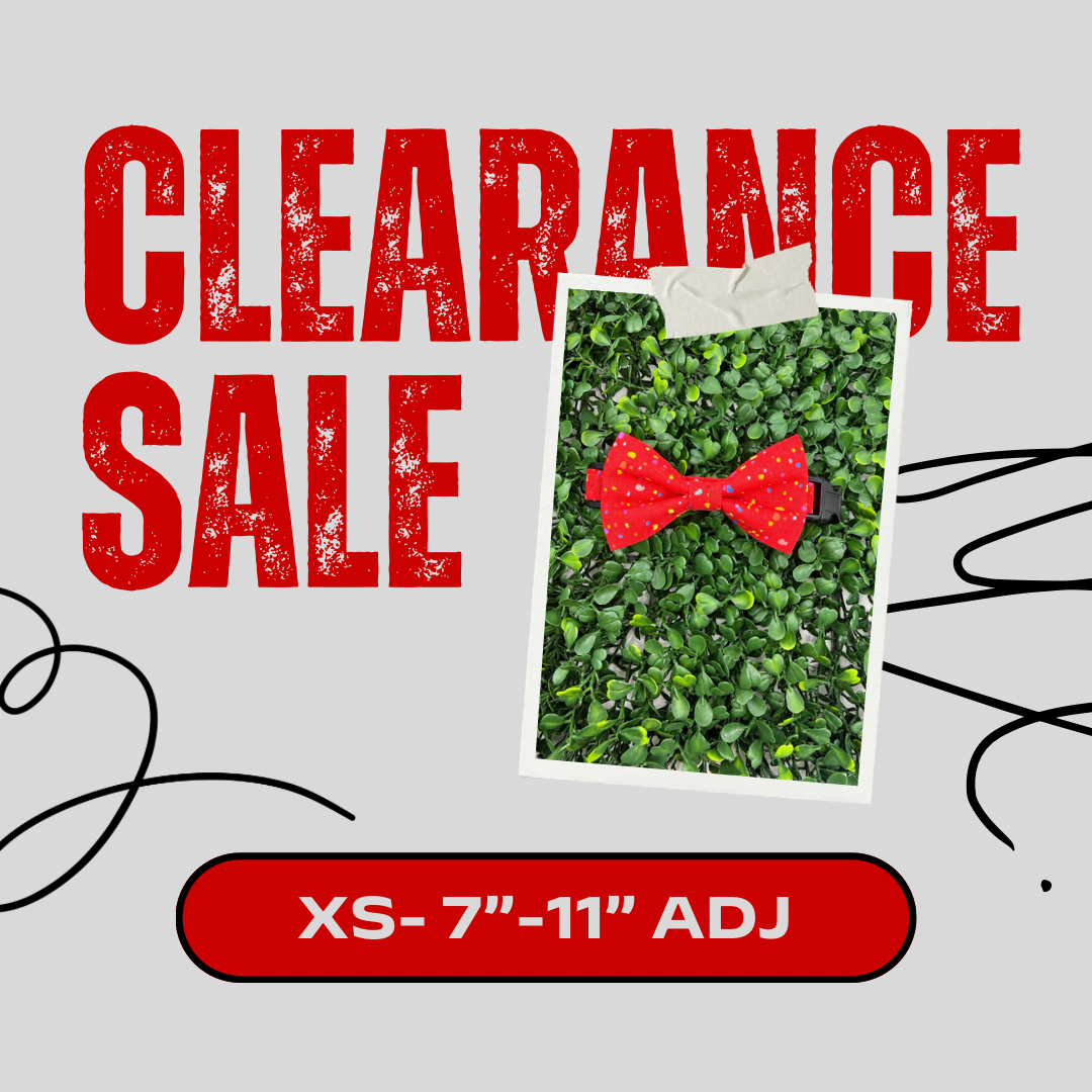 Clearance Dog Collar- XSmall