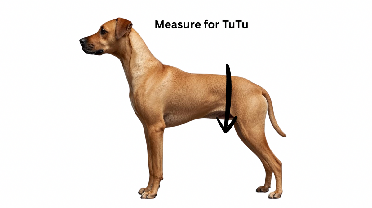 Twirl & Tulle Custom Wedding Dog Tutu