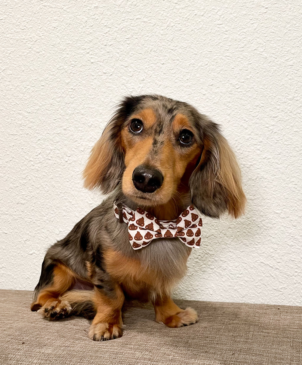 Oh, Poop! Funny Dog Collar