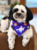 Ghostly Greetings Halloween Dog or Cat Bandana
