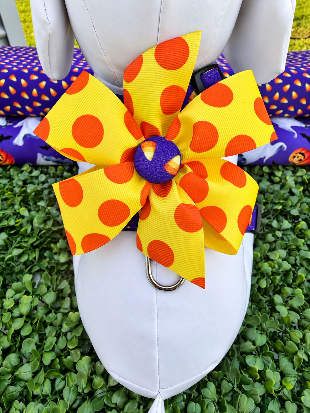 Candy Corn Cutie Dog Harness