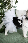 Twirl & Tulle Custom Wedding Dog Tutu