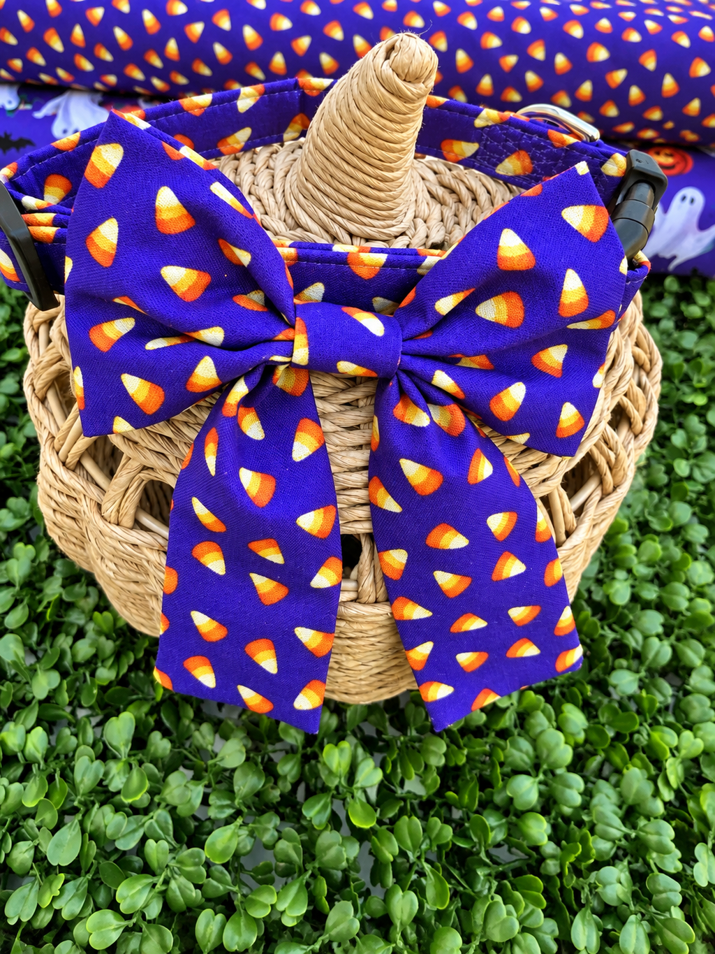 Candy Corn Cutie Dog or Cat Collar