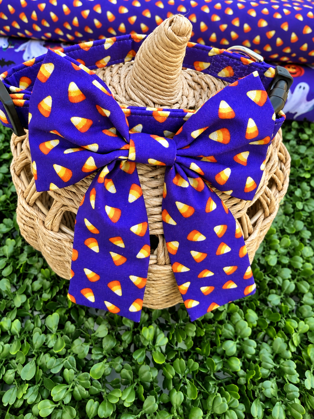 Candy Corn Cutie Dog or Cat Collar