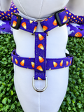 Candy Corn Cutie Dog Harness