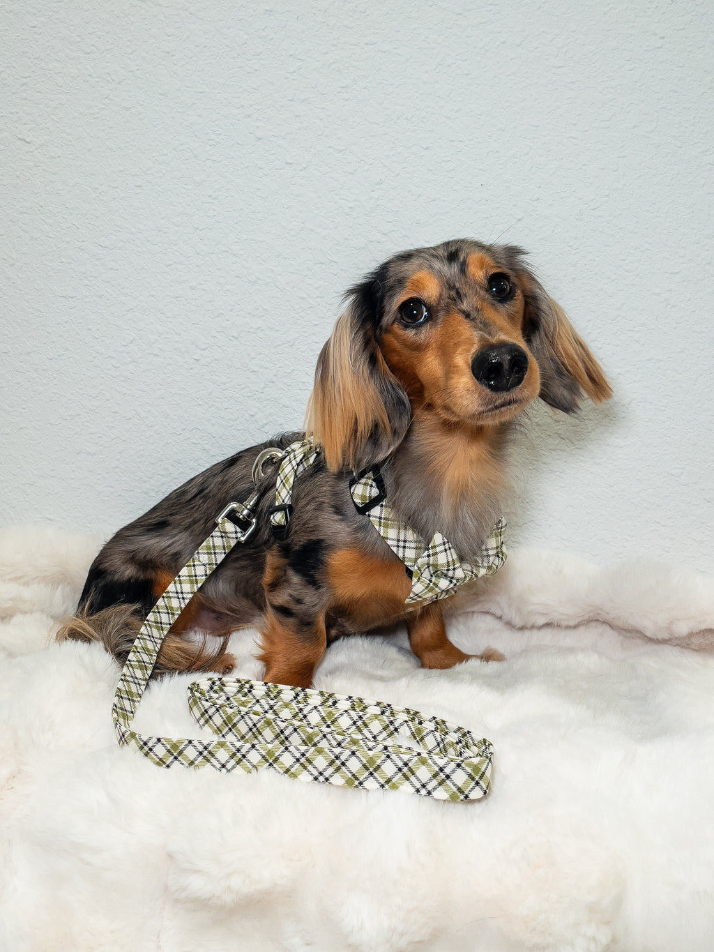 Evergreen Plaid Adjustable Dog Harness
