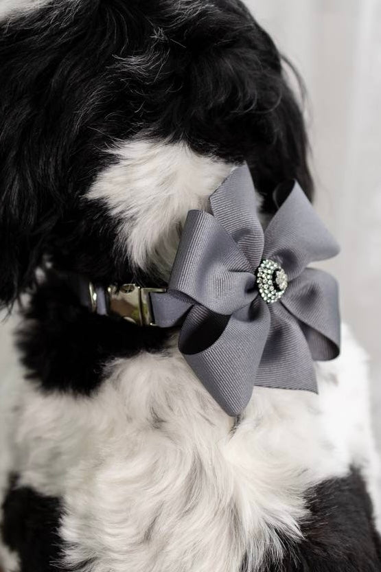 Custom Wedding Dog Collar