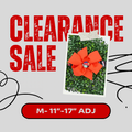Clearance Dog Collar- Medium