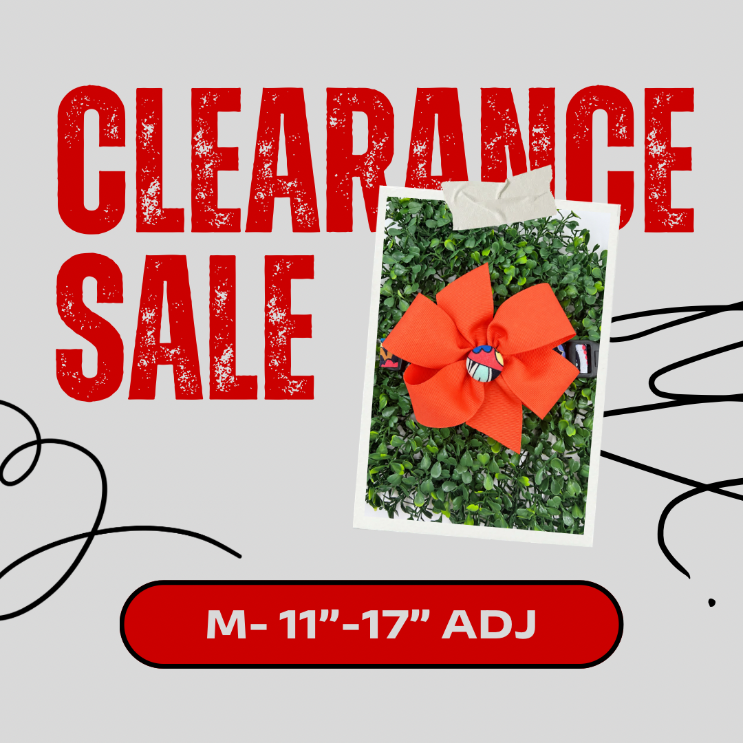 Clearance Dog Collar- Medium
