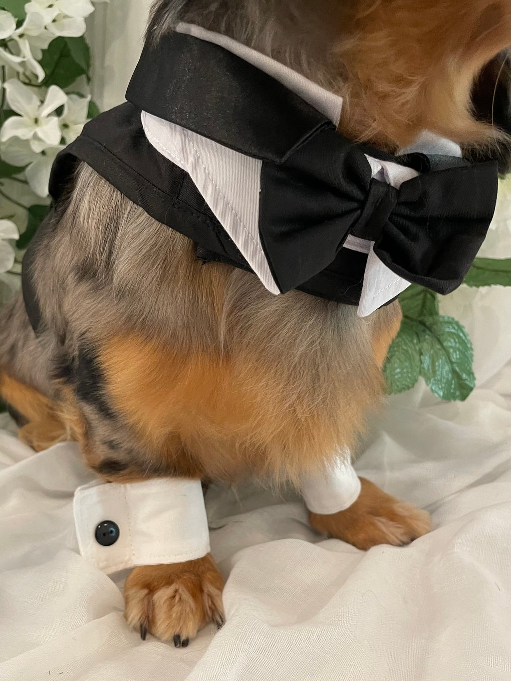 Classic Wedding Dog Cuffs