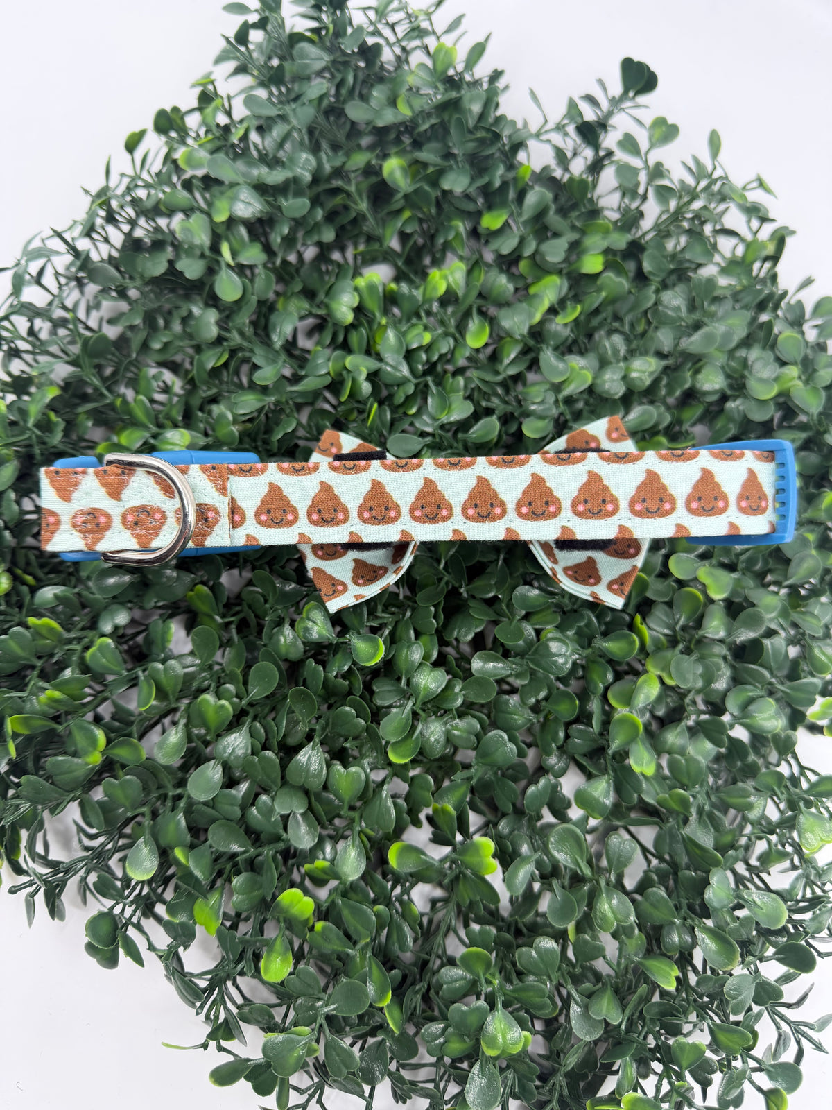 Clearance Dog Collar- Medium