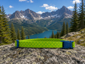 Electric Lime Dog Collar