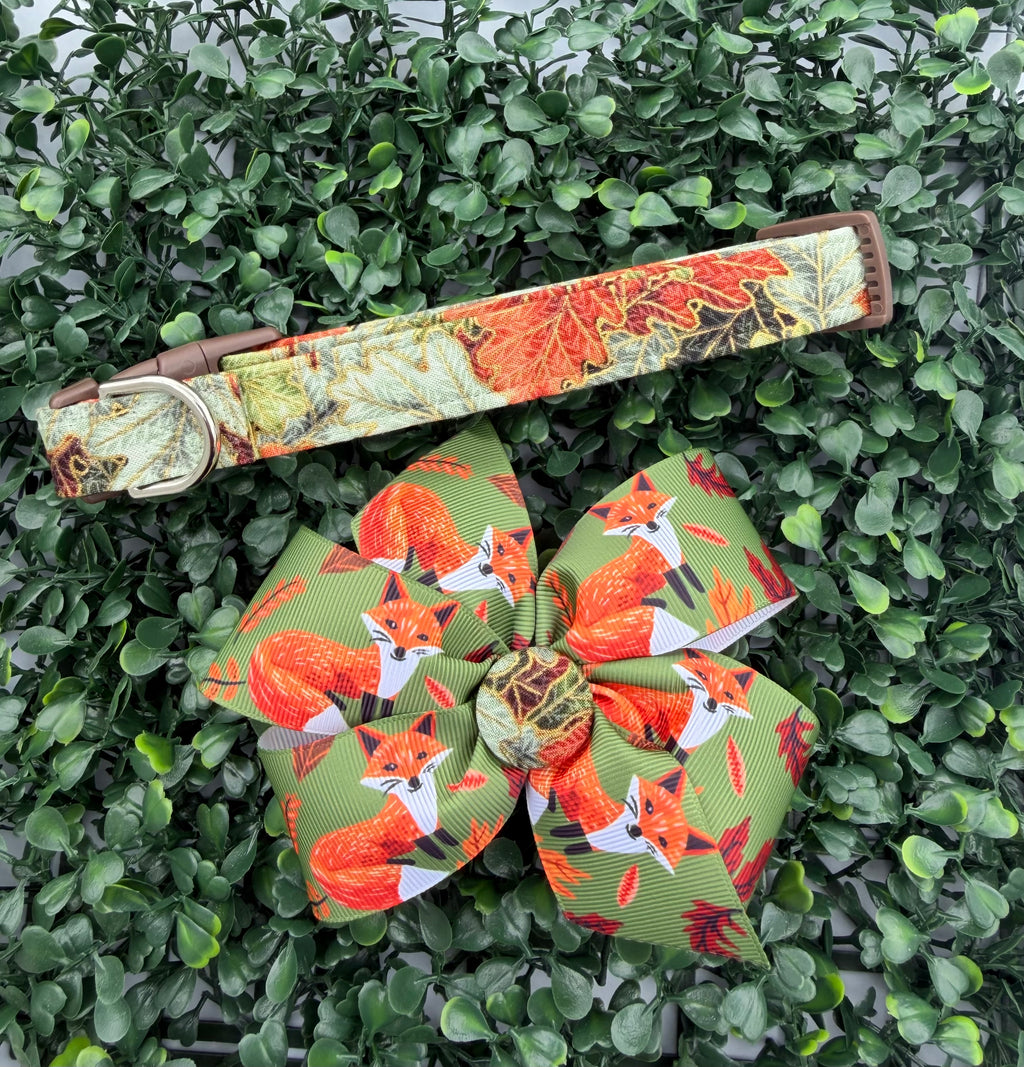 Falling Leaves Dog Collar