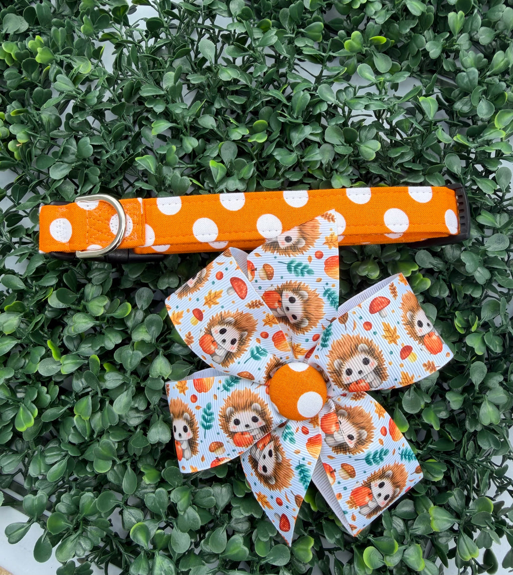 Pumpkin Spice Polka Dot Dog Collar